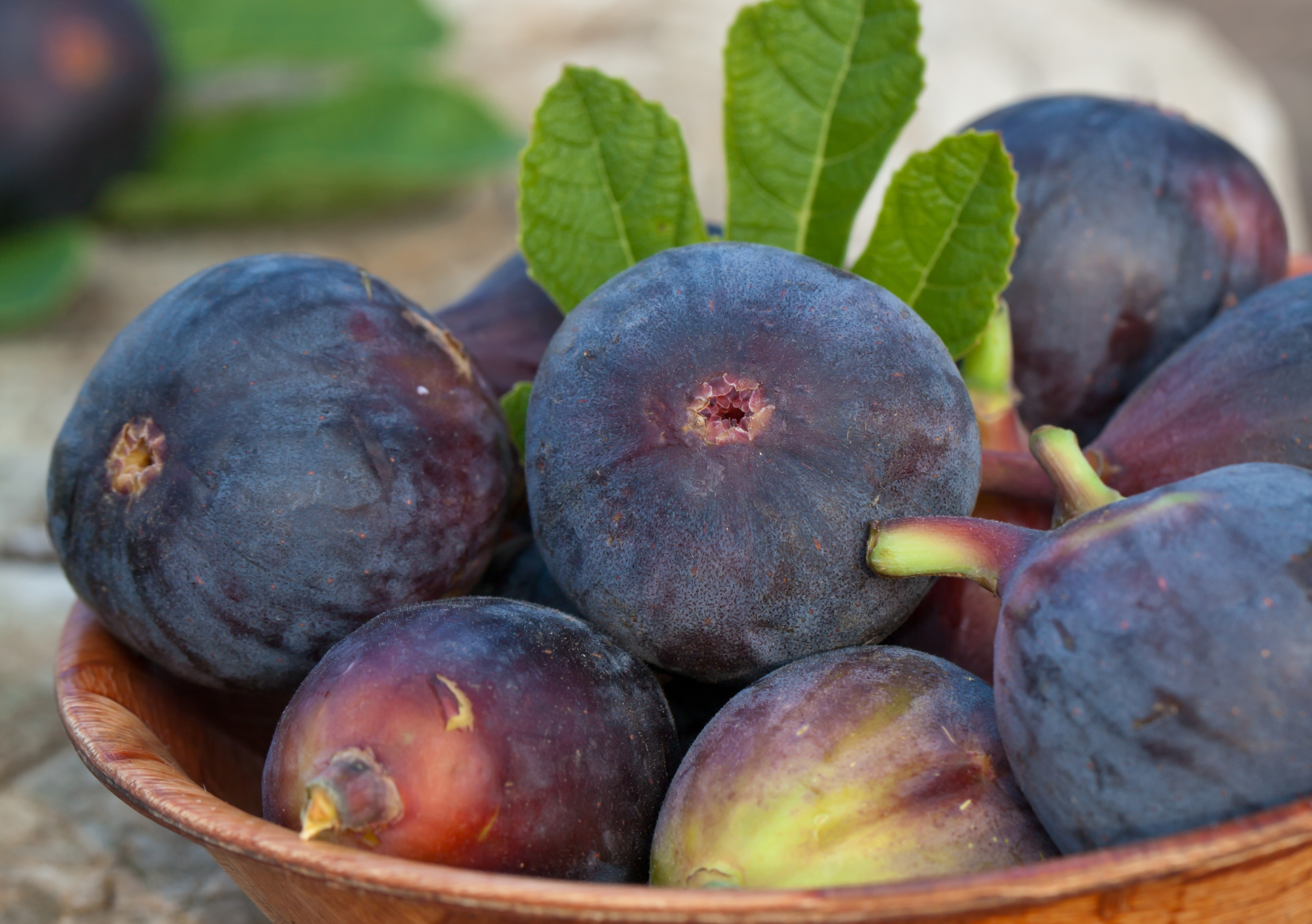 Figs are extremely nutritious.